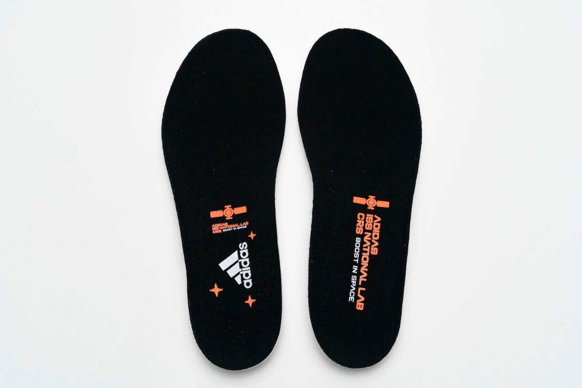 Adidas Ultra Boost 2020 ISS US National Lab Dash Grey EG0755 - Image 6