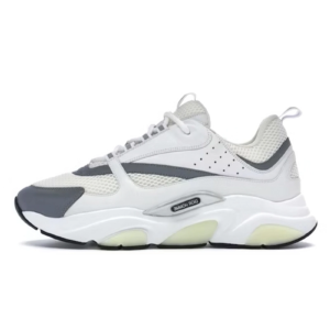 Dior B22 White Grey