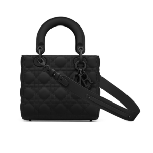 Small Lady Dior My ABCDior Bag