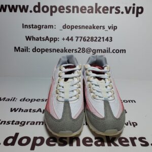 Nike Air Max 95 Anatomy of Air GID DM0012-600